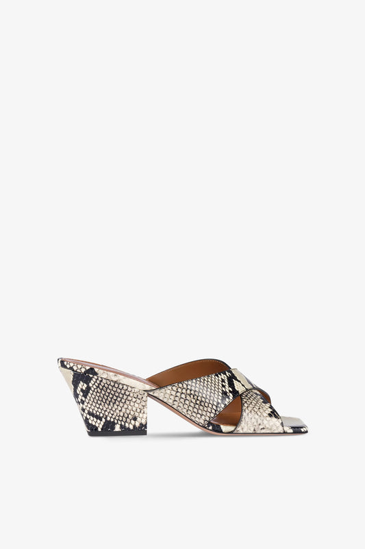 ARIZONA MULE 60